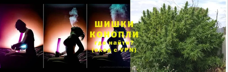 купить наркотик  Новозыбков  Конопля Bruce Banner 